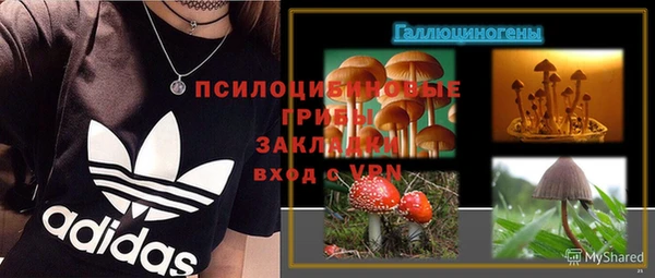 каннабис Алексеевка