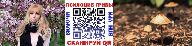 Галлюциногенные грибы Magic Shrooms  MEGA tor  Моздок 